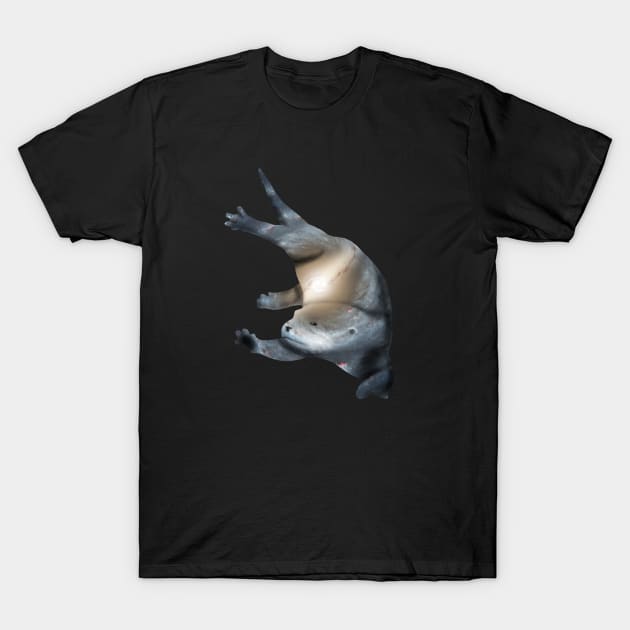 Galaxy Otter T-Shirt by Kristal Stittle